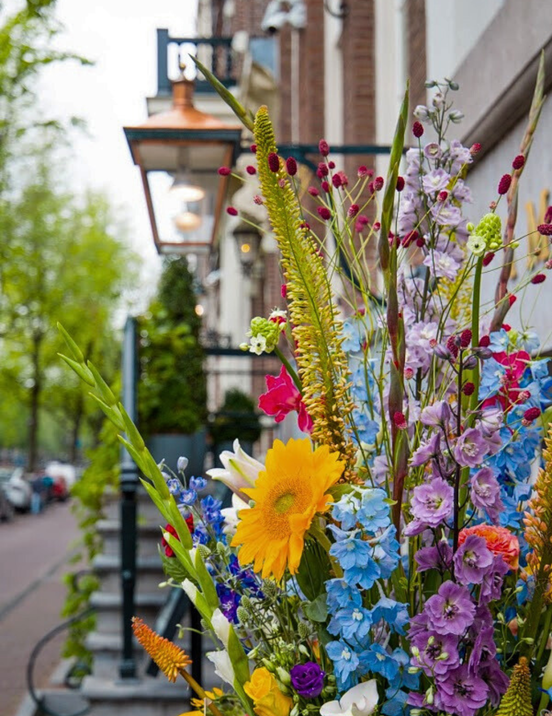 Colorful summer flowers at the entrance of the ambassade hotel in amsterdam on a summer day.