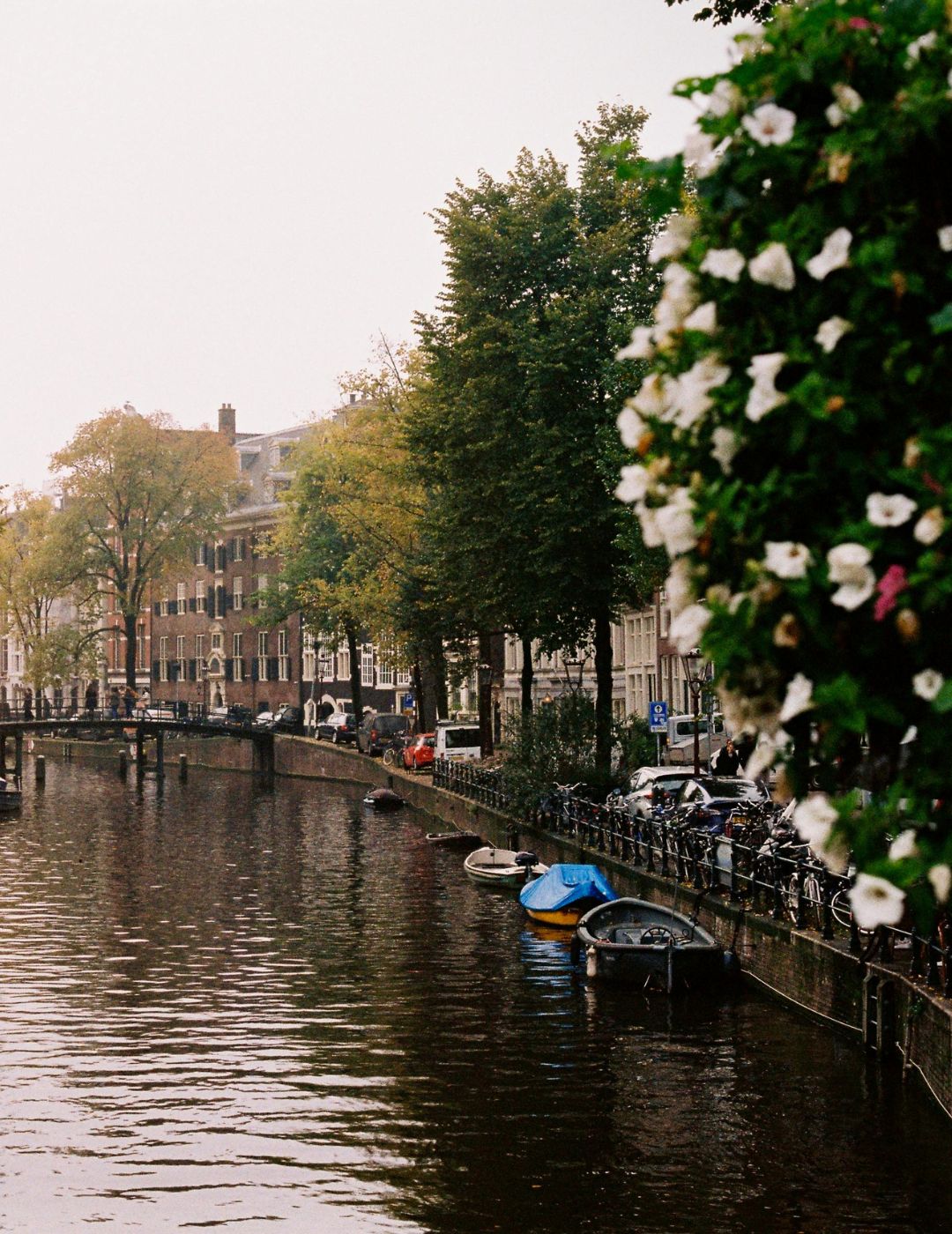 Iconisch Amsterdams grachtenzicht met bloemen op de voorgrond, gezien nabij het Ambassade Hotel aan de Herengracht.