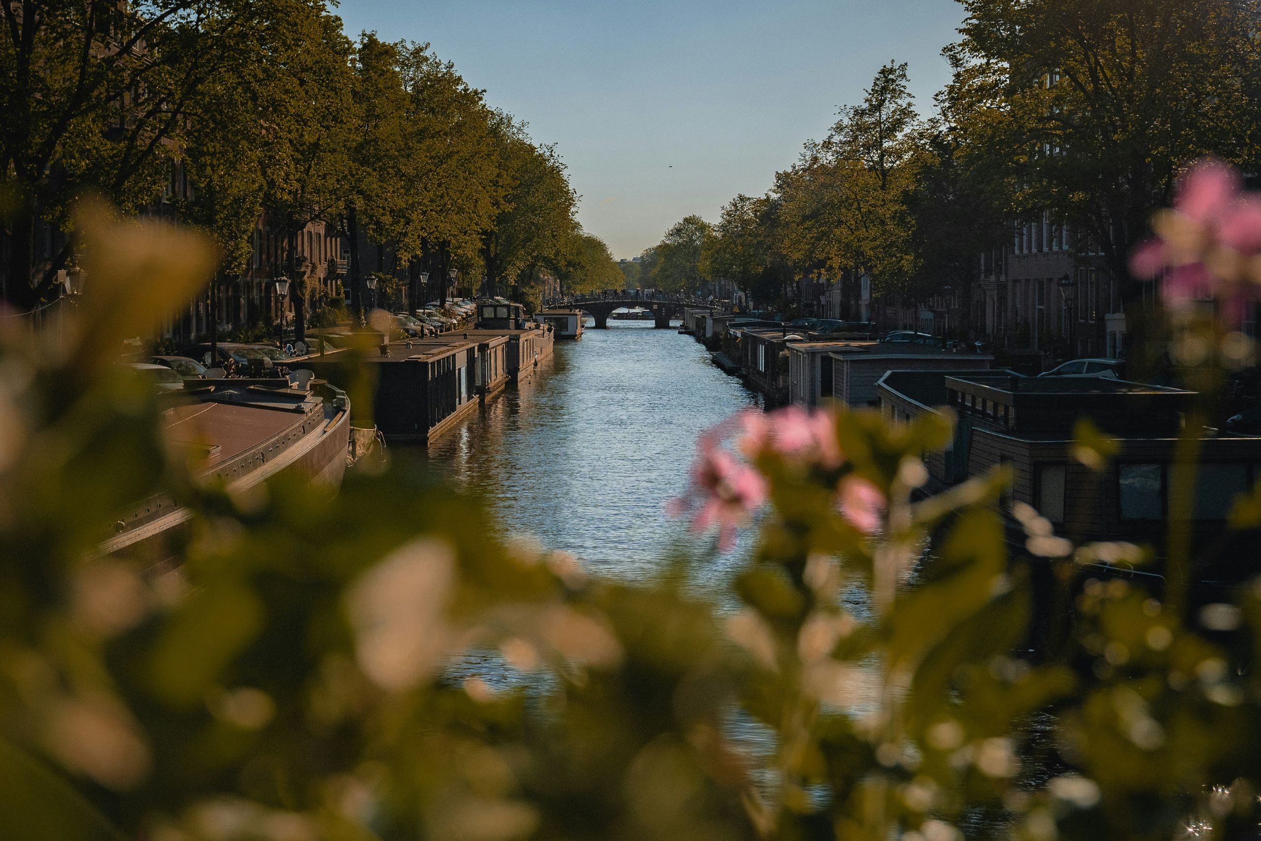 Sunny summer day view over the amsterdam canal near the ambassade hotel.