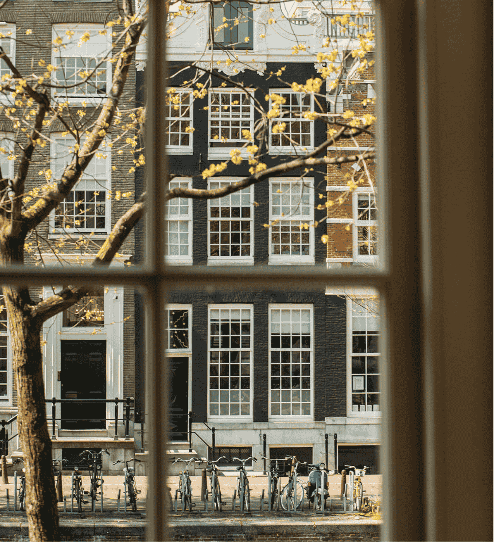 View from an ambassade hotel room overlooking canal houses and blossoming spring trees in amsterdam.